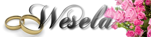 logostronawesela